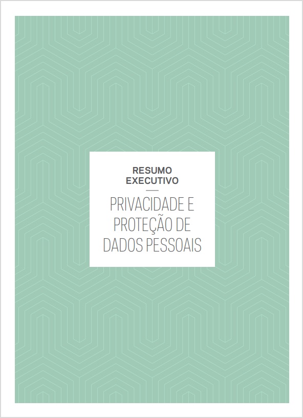 Resumo Executivo - Privacidade e proteção de dados pessoais 2021: perspectivas de indivíduos, empresas e organizações públicas no Brasil