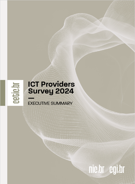 Executive Summary - Survey on the Internet service provider sector in Brazil - ICT Providers 2024